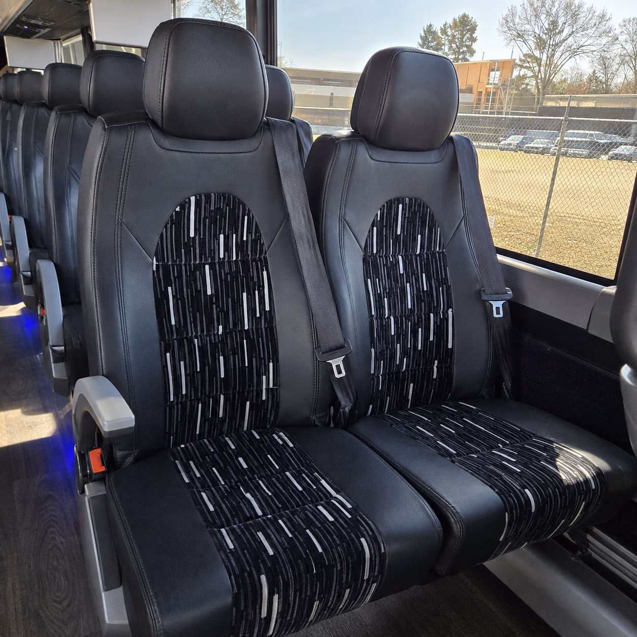 school buses for houston zoo trips from sugar land