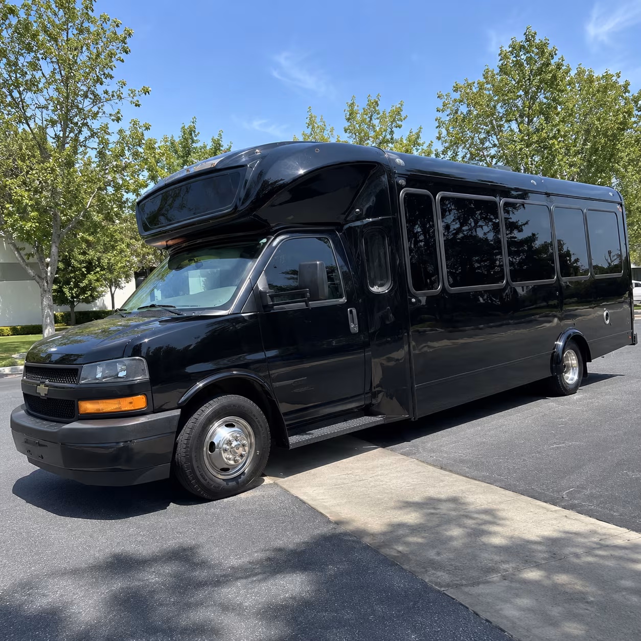 sugar land 15 passenger party bus